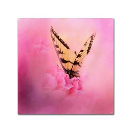 Trademark Fine Art Jai Johnson 'Butterfly On The Azaleas' Canvas Art, 35x35 ALI14257-C3535GG